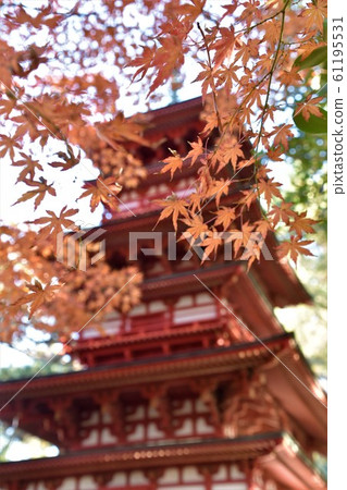 Autumn leaves Shoraian Triple Pagoda Chigasaki 61195531