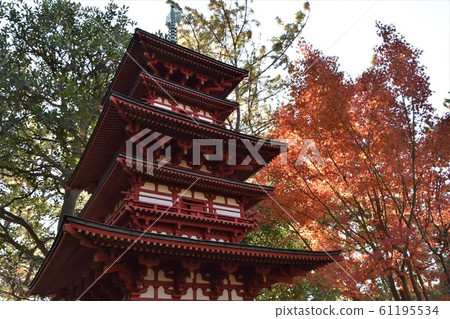 Autumn leaves Shoraian Triple Pagoda Chigasaki 61195534