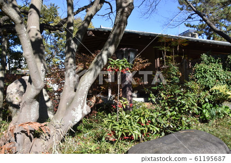 Autumn Shoraian Chigasaki City 61195687