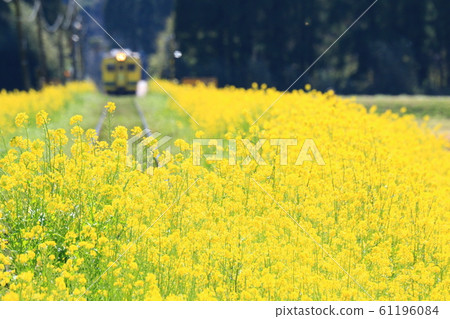 夷umi鐵路穿過強姦地毯 61196084