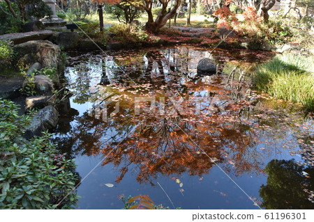 秋葉Sh崎茅崎市 61196301