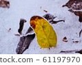 落葉在雪中 61197970