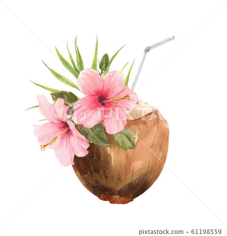 Beautiful watercolor tropical coconut stock illustration. Ready for drink. With flowers, palm leaves and swizzale stick. Beautiful watercolor tropical coconut stock illustration. Ready for drink. With flowers, palm leaves and swizzale stick. 61198559