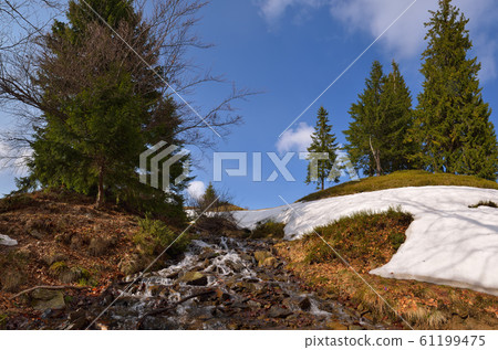 Spring brook in mountains Spring brook in mountains 61199475