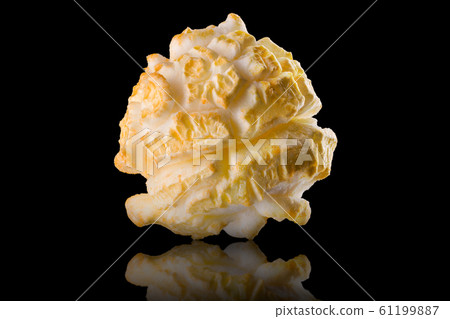 Single popped popcorn on a black backgroundwith clipping path 61199887