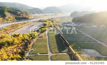 Oigawa Railway and colored leaves Oigawa Railway and colored leaves 61201493
