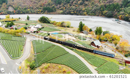 Oigawa Railway and colored leaves Oigawa Railway and colored leaves 61201521