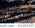 Fallen leaves  61202355