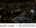 Fallen leaves  61202359
