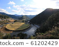 水稻梯田 61202429