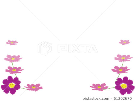Cosmos Cosmos 61202670
