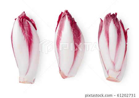 red chicory or radicchio isolated on white background. Top view. Flat lay red chicory or radicchio isolated on white background. Top view. Flat lay 61202731