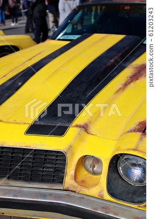 Camaro 61203243