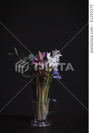 Close-up of hyacinths and eucalyptus branch in a Close-up of hyacinths and eucalyptus branch in a 61203275