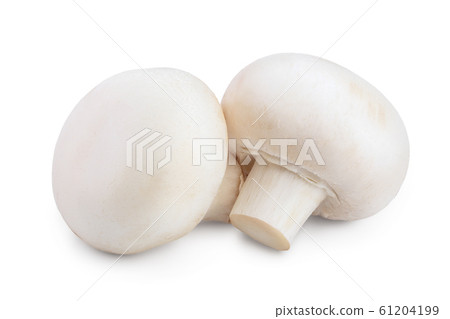 Fresh mushroom champignon isolated on white background with clipping path 61204199