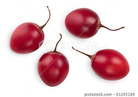 Fresh tamarillo fruit isolated on white background Fresh tamarillo fruit isolated on white background 61205189