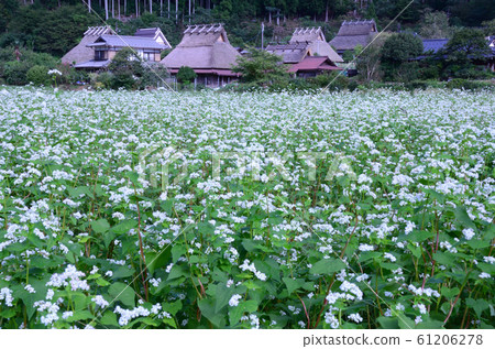 Miyama Seki no Sato 61206278