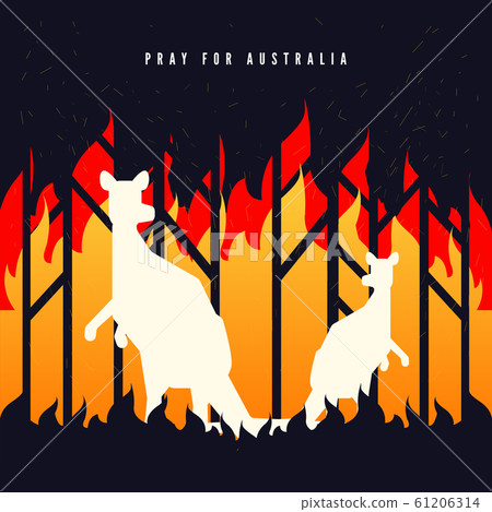 Pray for Australia banner. Forest in fire burning with kangaroo. 61206314