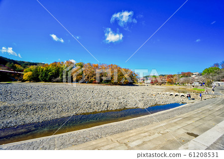 Hannogawara of autumn leaves 61208531