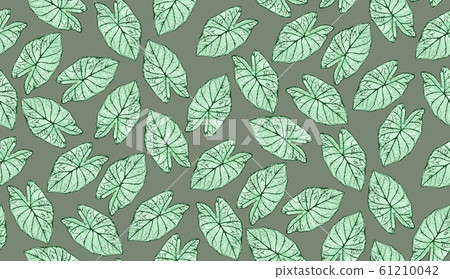 Rain forest plants and fabric pattern design Rain forest plants and fabric pattern design 61210042