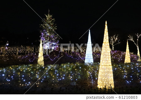 Illumination of Bami hilly park 61210803