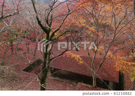 Kasayama mountain park Kasayama mountain park 61210882