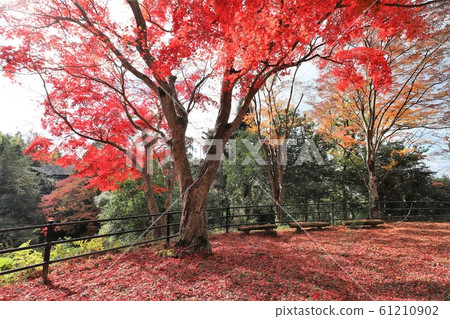 Kasayama山公園 Kasayama山公園 61210902