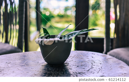 Cup of flower for decoration Cup of flower for decoration 61214112