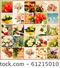 Set of 25 floral pictures on grunge old paper Set of 25 floral pictures on grunge old paper 61215010