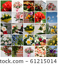 Set of 25 floral pictures for your design Set of 25 floral pictures for your design 61215014