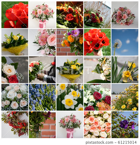 Set of 25 floral pictures for your design Set of 25 floral pictures for your design 61215014
