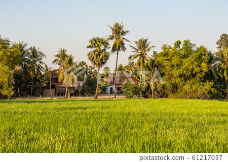 Beautiful Countryside trip in tropical rural Beautiful Countryside trip in tropical rural 61217057