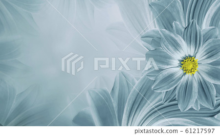 Floral light turquoise beautiful background. Floral light turquoise beautiful background. 61217597