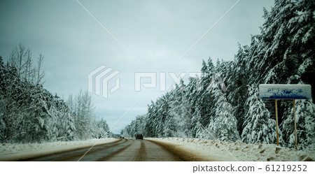 Photo of winter road with trees in snow Photo of winter road with trees in snow 61219252