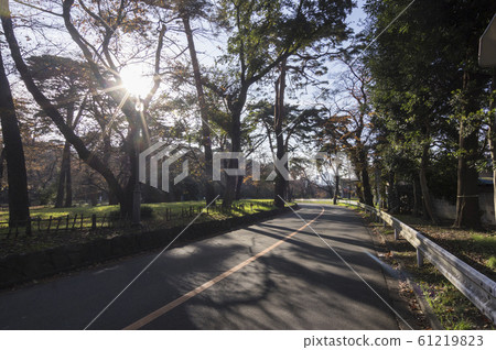 Autumn park 61219823