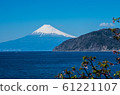 Fuji from the Izu Peninsula 61221107