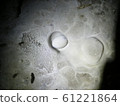 Stalactite egg type 61221864