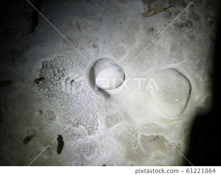 Stalactite egg type Stalactite egg type 61221864