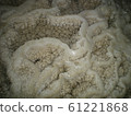 Stalactite puddle 61221868