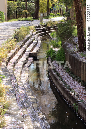 足立區東A瀨公園附近的八ach村海濱綠色路 足立區東A瀨公園附近的八ach村海濱綠色路 61222281