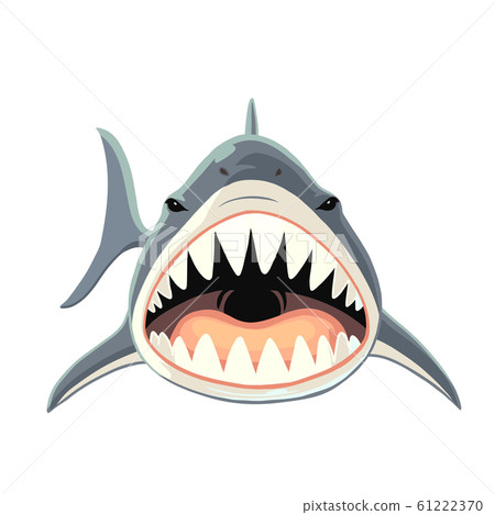 兇猛的鯊魚的正面插圖 兇猛的鯊魚的正面插圖 61222370