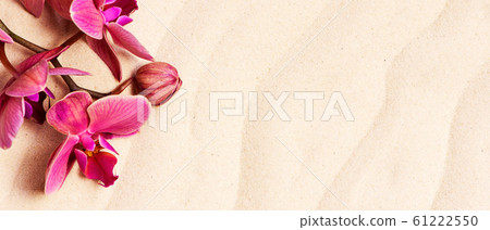 Blooming orchid on the sand, travel or spa Blooming orchid on the sand, travel or spa 61222550