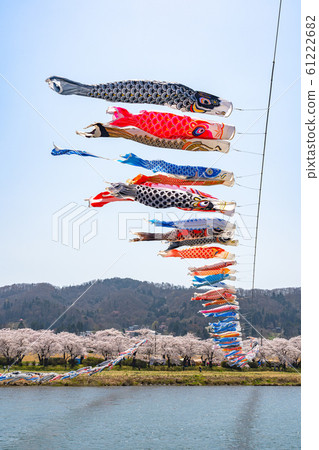 Kitakami Exhibition Katsuchi Sakura Festival Cherry Blossoms Spring Sightseeing Spots Nature Blue Sky Sunny Colorful Tohoku Region 61222682