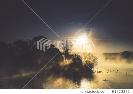 Ukishima Shrine 61223251