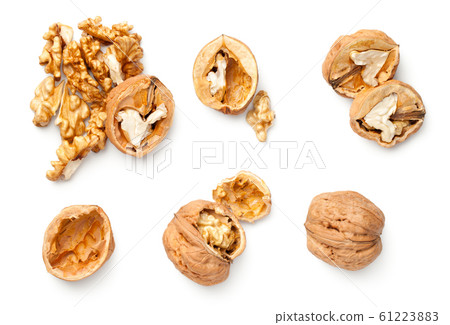 Walnuts Isolated On White Background Walnuts Isolated On White Background 61223883