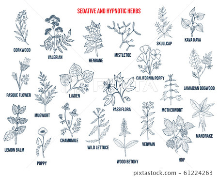 Best sedative and hypnotic herbs 61224263