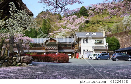 川邊旅館的櫻花 川邊旅館的櫻花 61224538