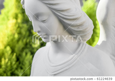 Close up of white stone angel statue 61224639