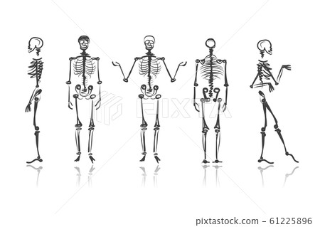 Skeleton sketches for your design Skeleton sketches for your design 61225896