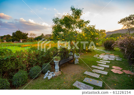 Thailand, Relaxation, Environmental Conservation, 61226154